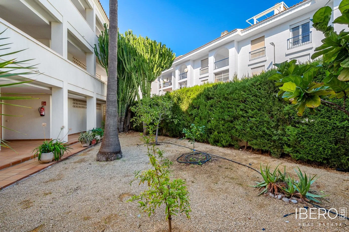 Fotografie 5