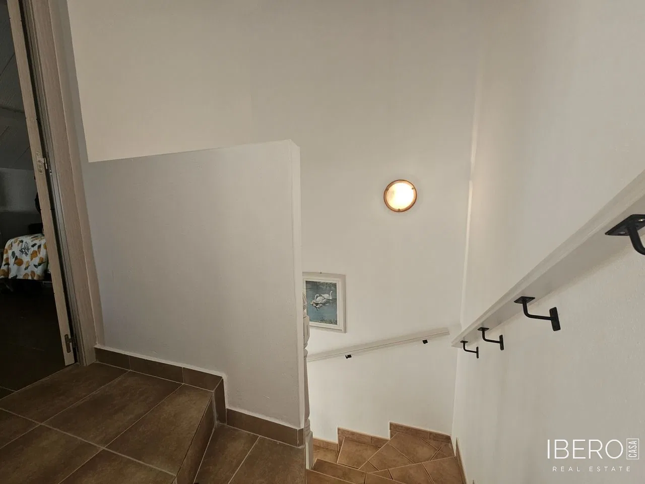 Fotografie 19