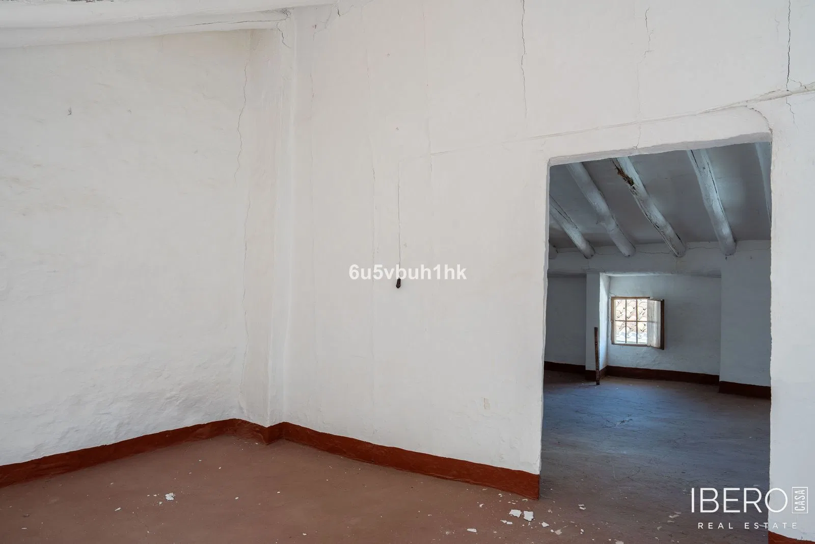 Fotografie 19