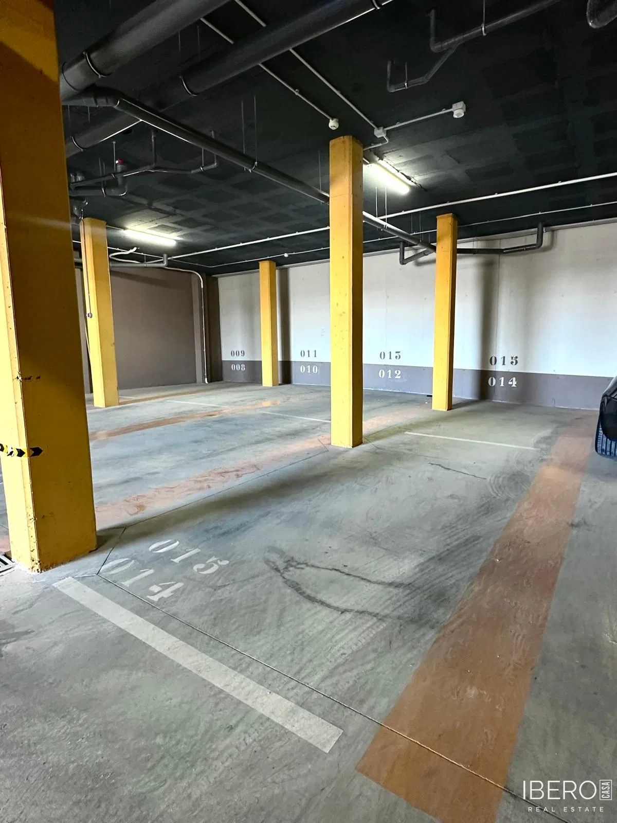 Fotografie 17