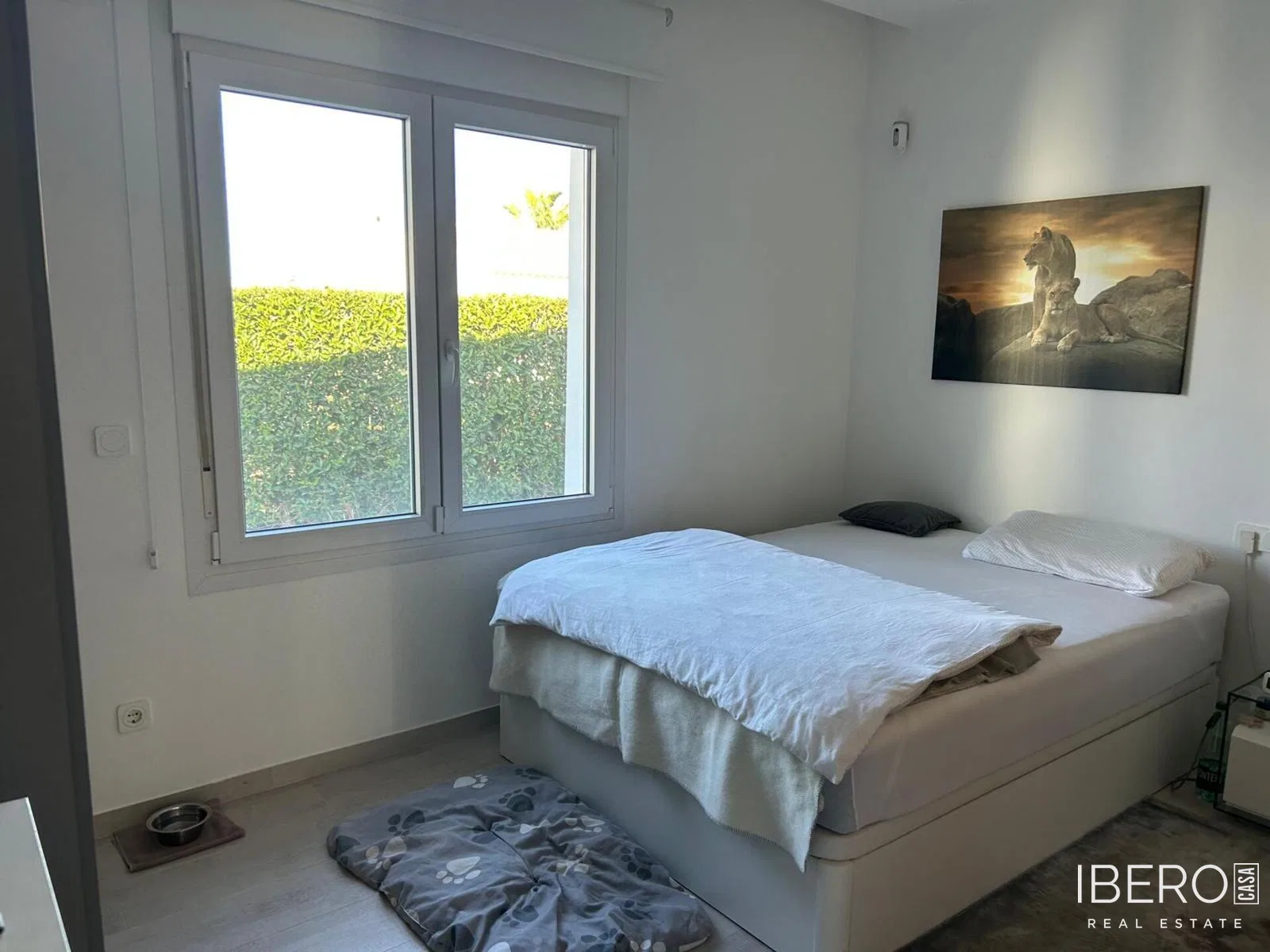 Fotografie 18
