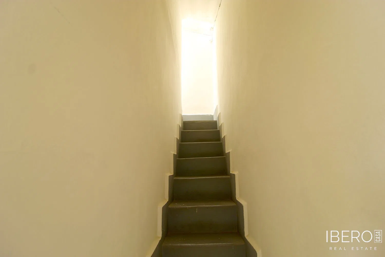 Fotografie 19
