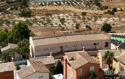 Fotografie 9