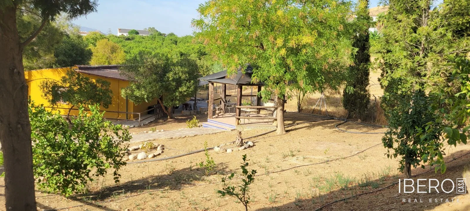 Fotografie 4