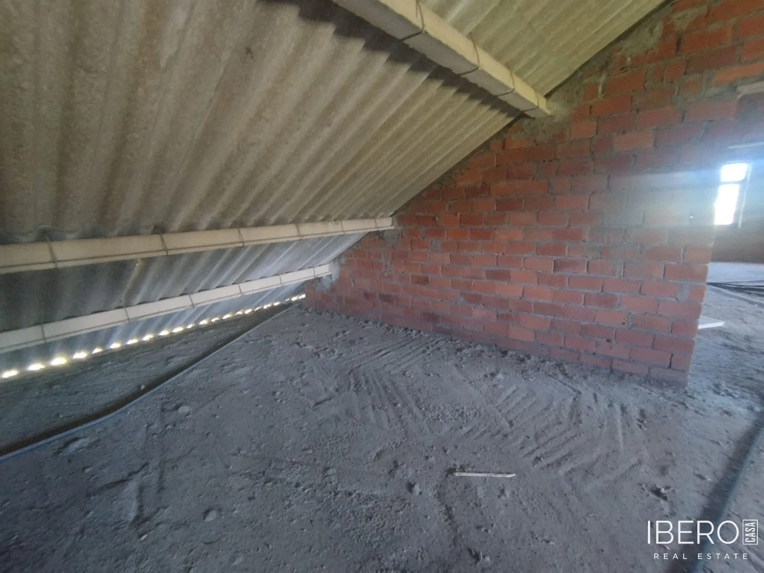 Fotografie 13