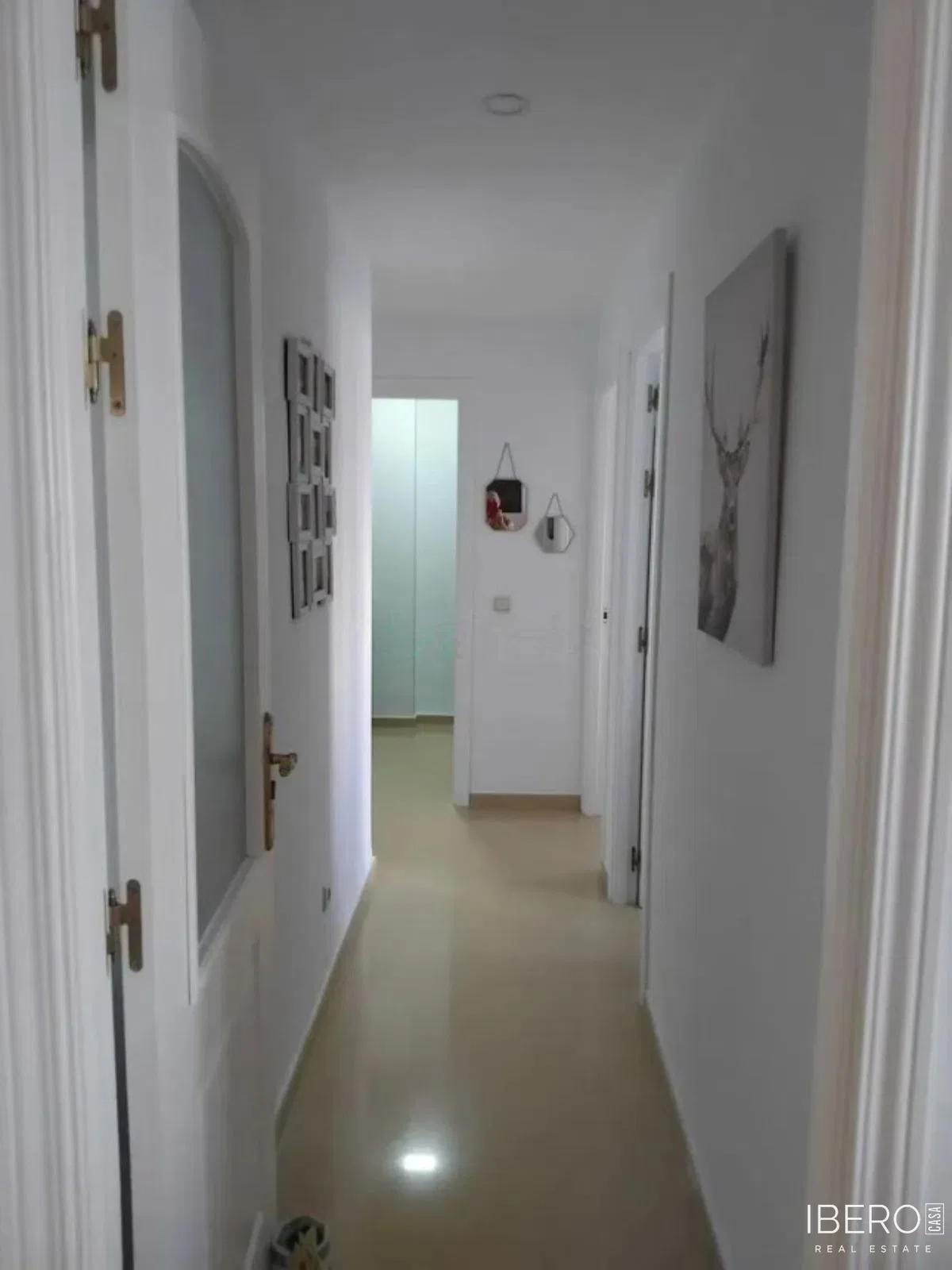 Fotografie 13