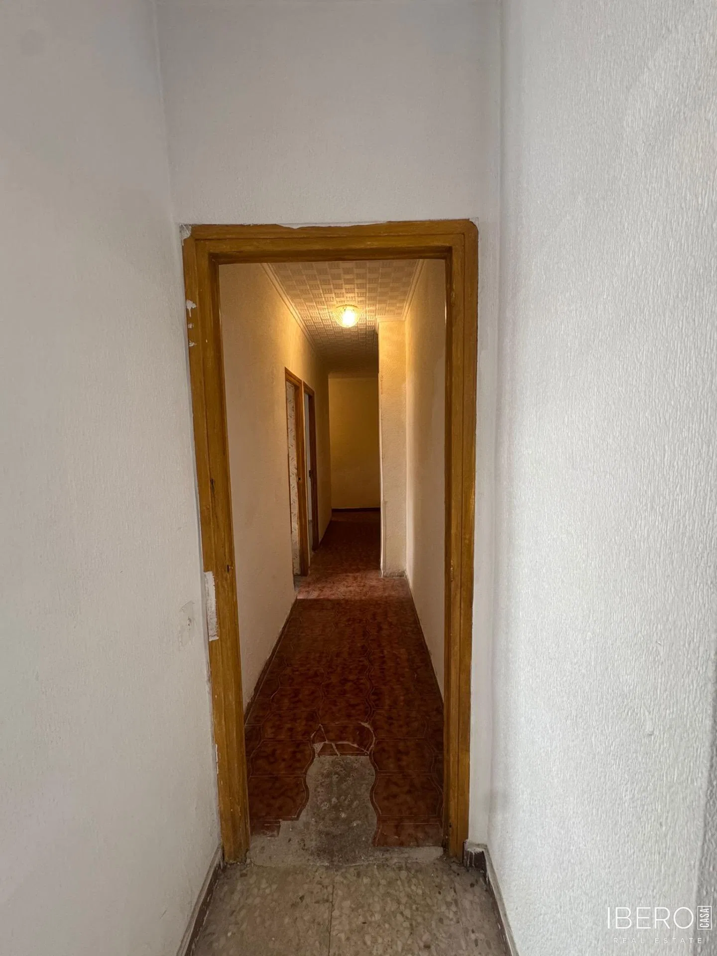 Fotografie 14